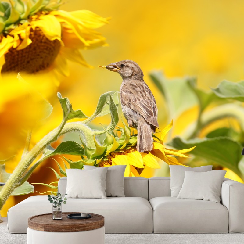 Fototapete spatz auf einer sonnenblume – Wallnifity®