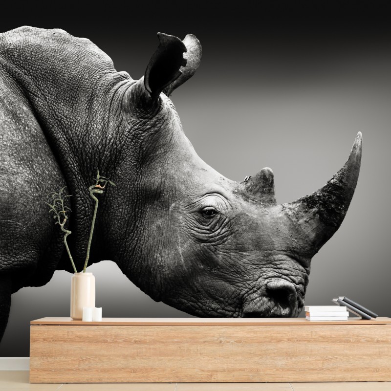 Fototapete majestätisches nashornporträt – Wallnifity®