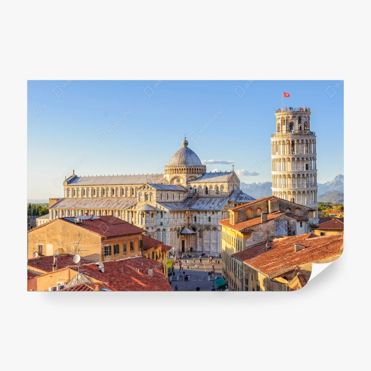 Fototapete sonnenbeschienener blick auf den dom von Pisa und den schiefen turm – Wallnifity®