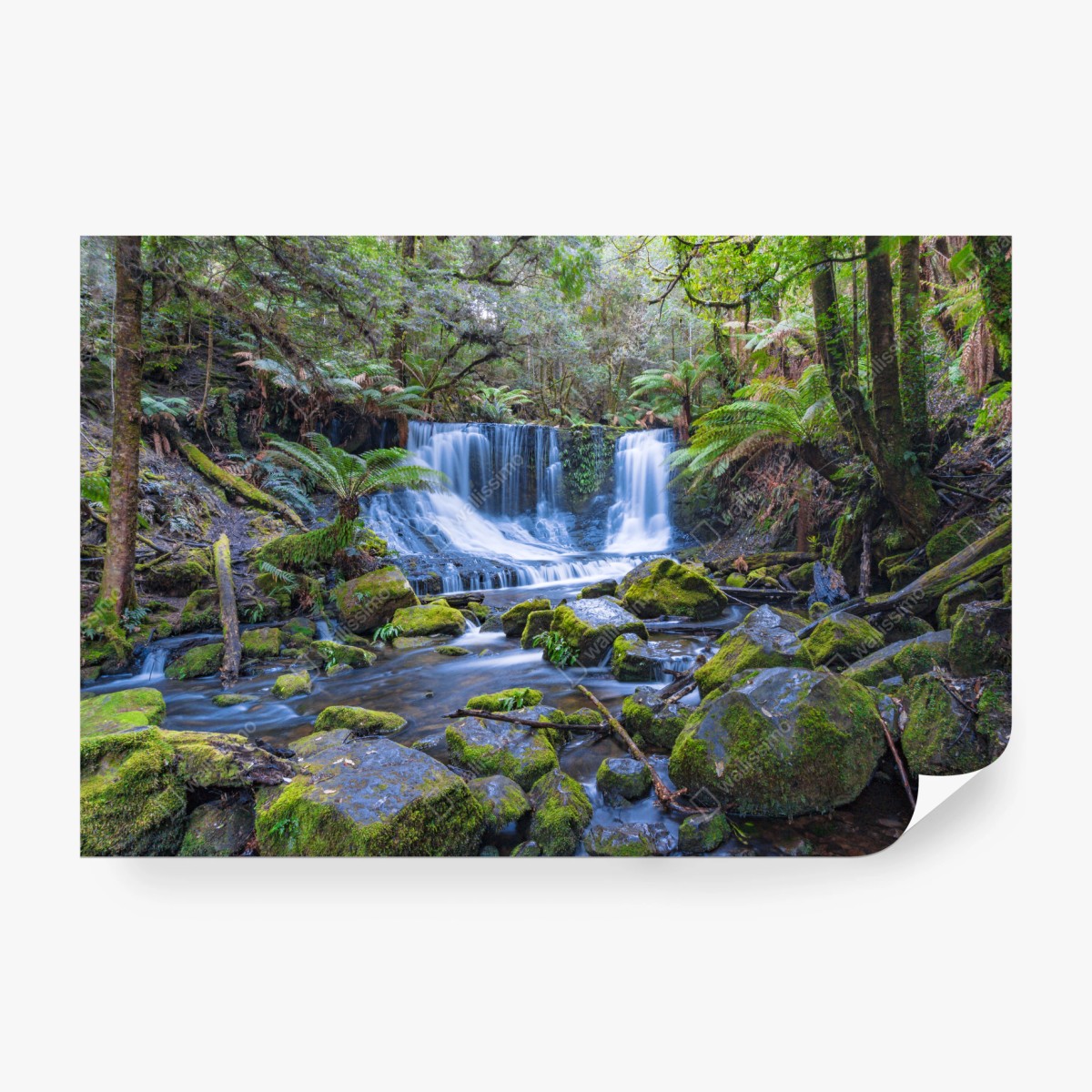 Fototapete friedlicher waldwasserfall – Wallnifity®