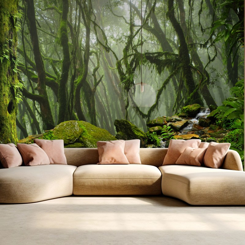 Fototapete moosiger wald mit bach im nebel – Wallnifity®