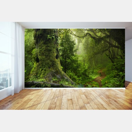 Fototapete moosiger alter waldpfad – Wallnifity®