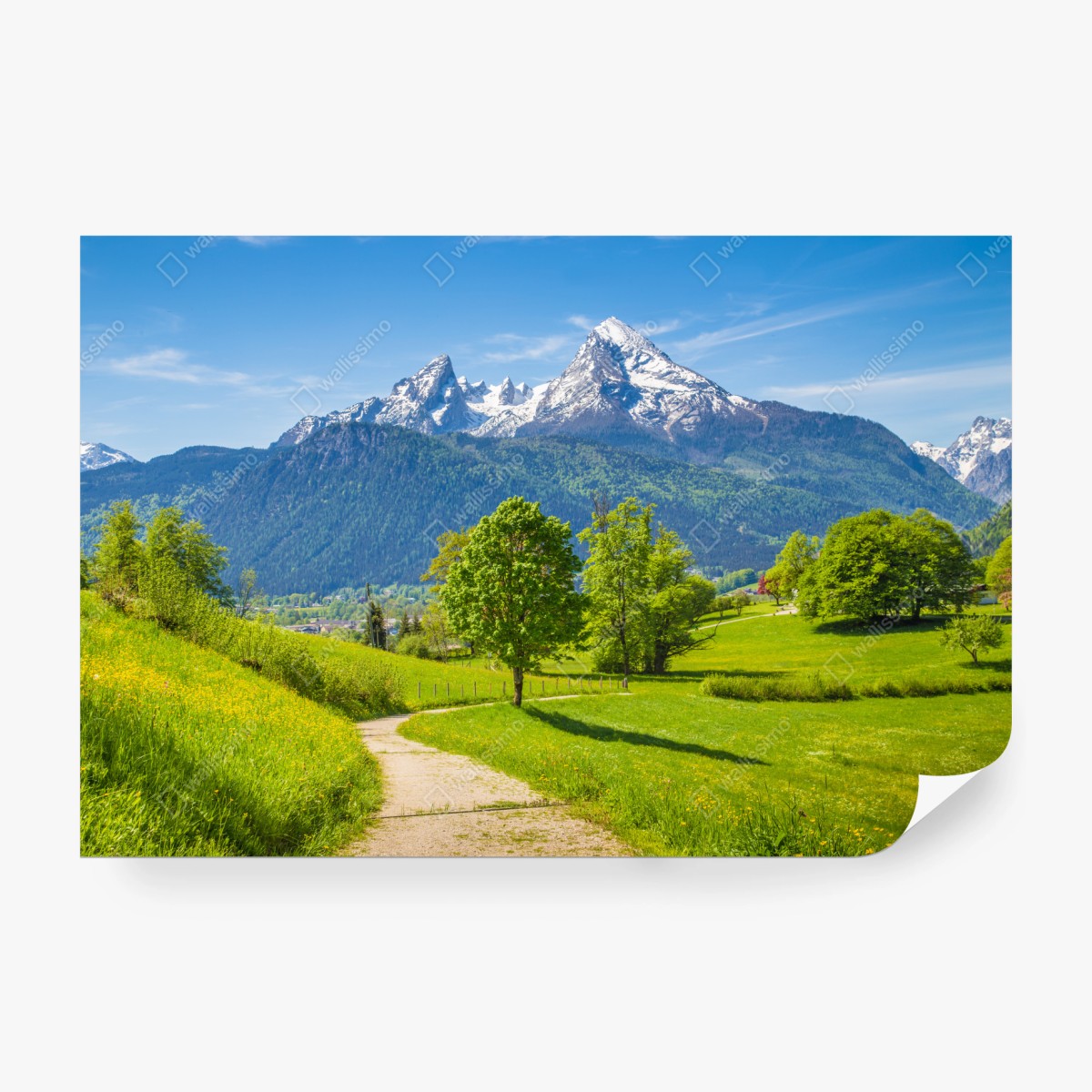 Fototapete ruhige alpenwiese mit berggipfeln – Wallnifity®