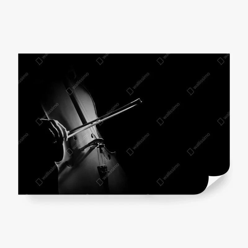Fototapete elegantes cello in monochrom