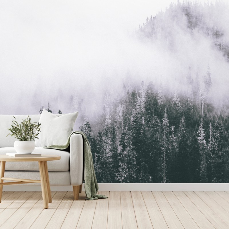 Fototapete nebliger immergrüner wald – Wallnifity®