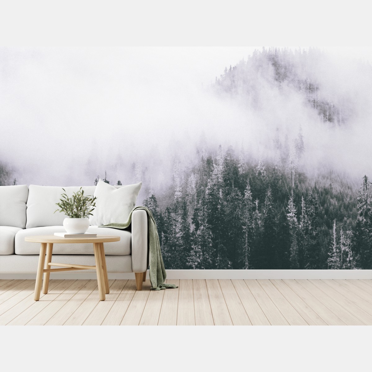 Fototapete nebliger immergrüner wald – Wallnifity®