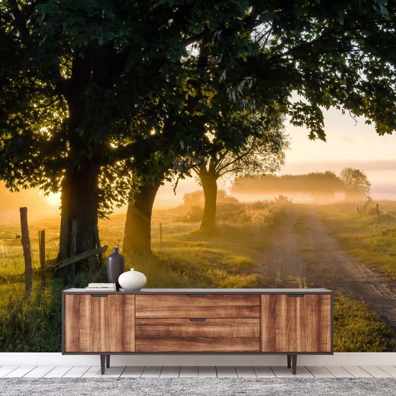Fototapete sonnenbeschienener landweg im morgendunst – Wallnifity®