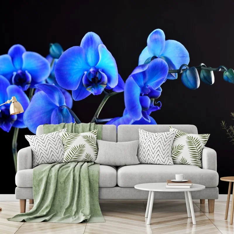 Fototapete leuchtende blaue orchidee vor schwarzem hintergrund – Wallnifity®