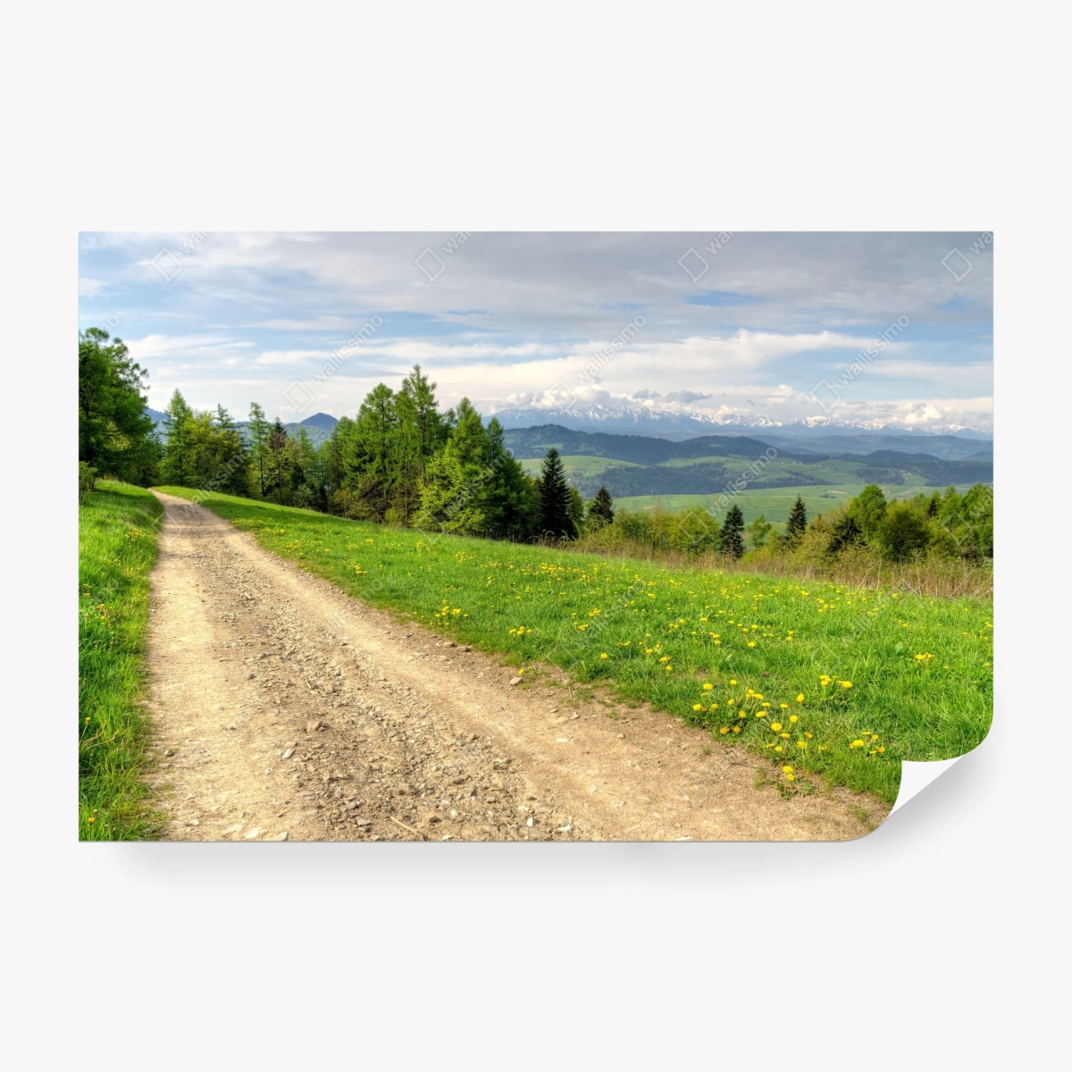 Fototapete Gorce frühlingspfad – Wallnifity®