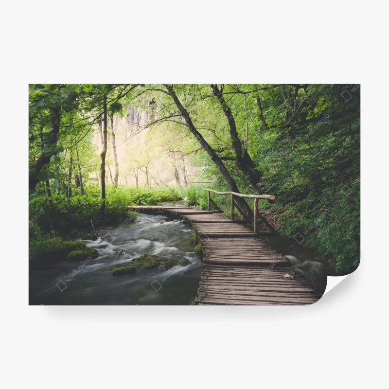 Fototapete ruhiger hölzerner steg durch grünen wald