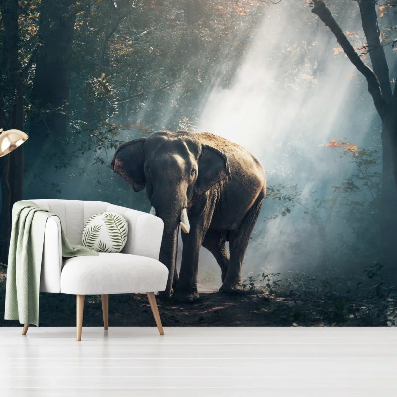 Fototapete majestätischer elefant im sonnenlichtdurchfluteten wald – Wallnifity®
