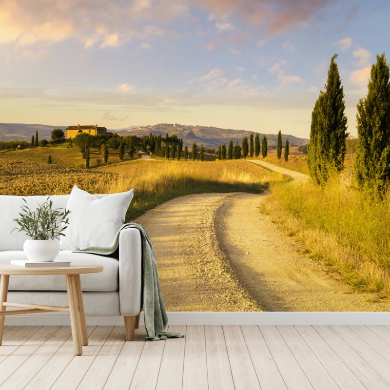 Fototapete goldene landstraße zwischen zypressen – Wallnifity®