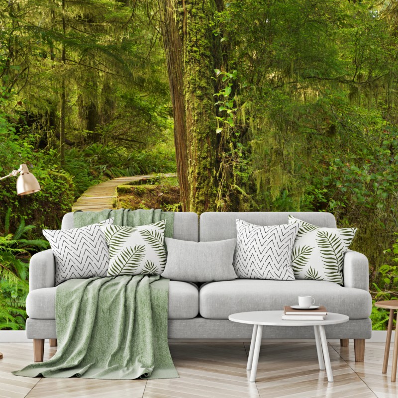 Fototapete steg im Pacific Rim regenwald – Wallnifity®