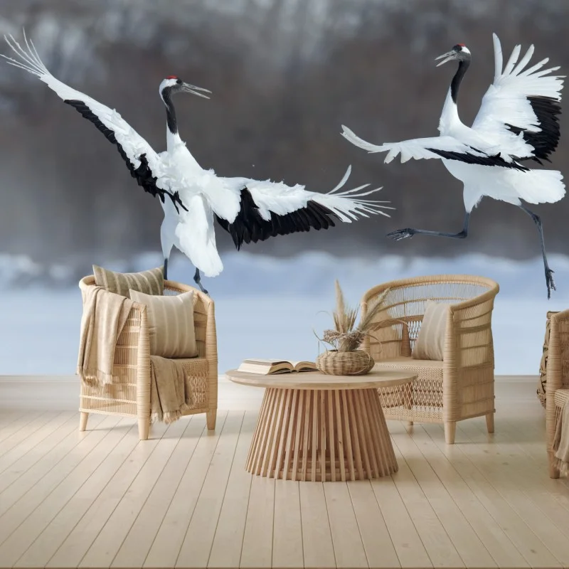 Fototapete tanzende rotkronenkraniche im schnee, Hokkaido – Wallnifity® Fototapete tanzende rotkronenkraniche im schnee, Hokkaido – Wallnifity®