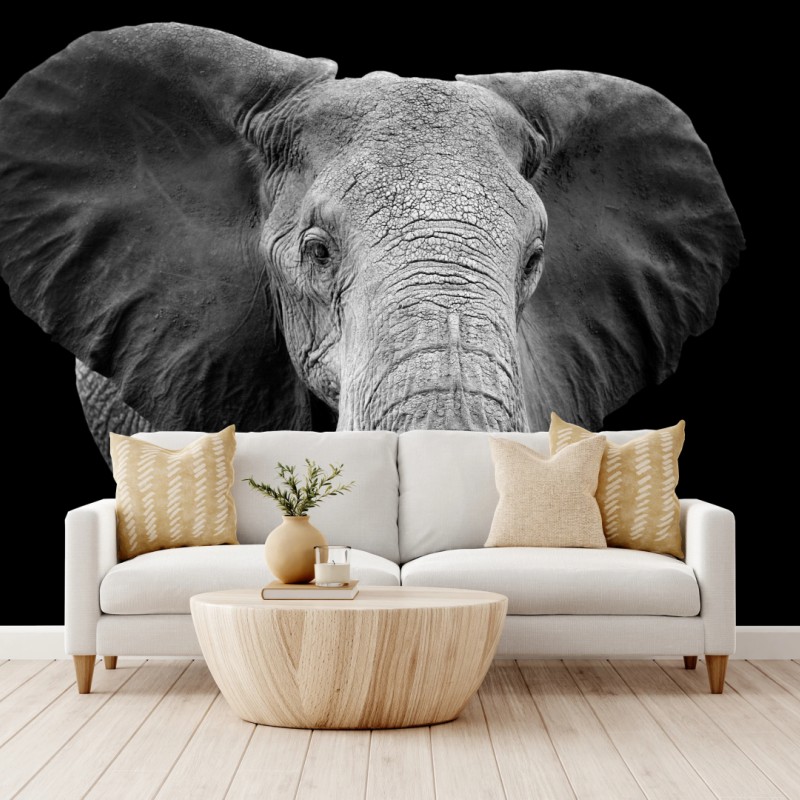 Fototapete majestätisches elefantenporträt in monochrom – Wallnifity®