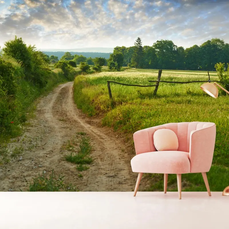 Fototapete sonniger landweg durch grüne wiesen
