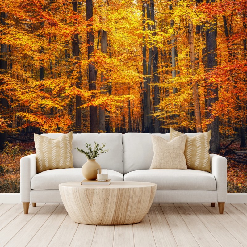 Fototapete herbstlicher waldpfad mit goldenen blättern – Wallnifity®