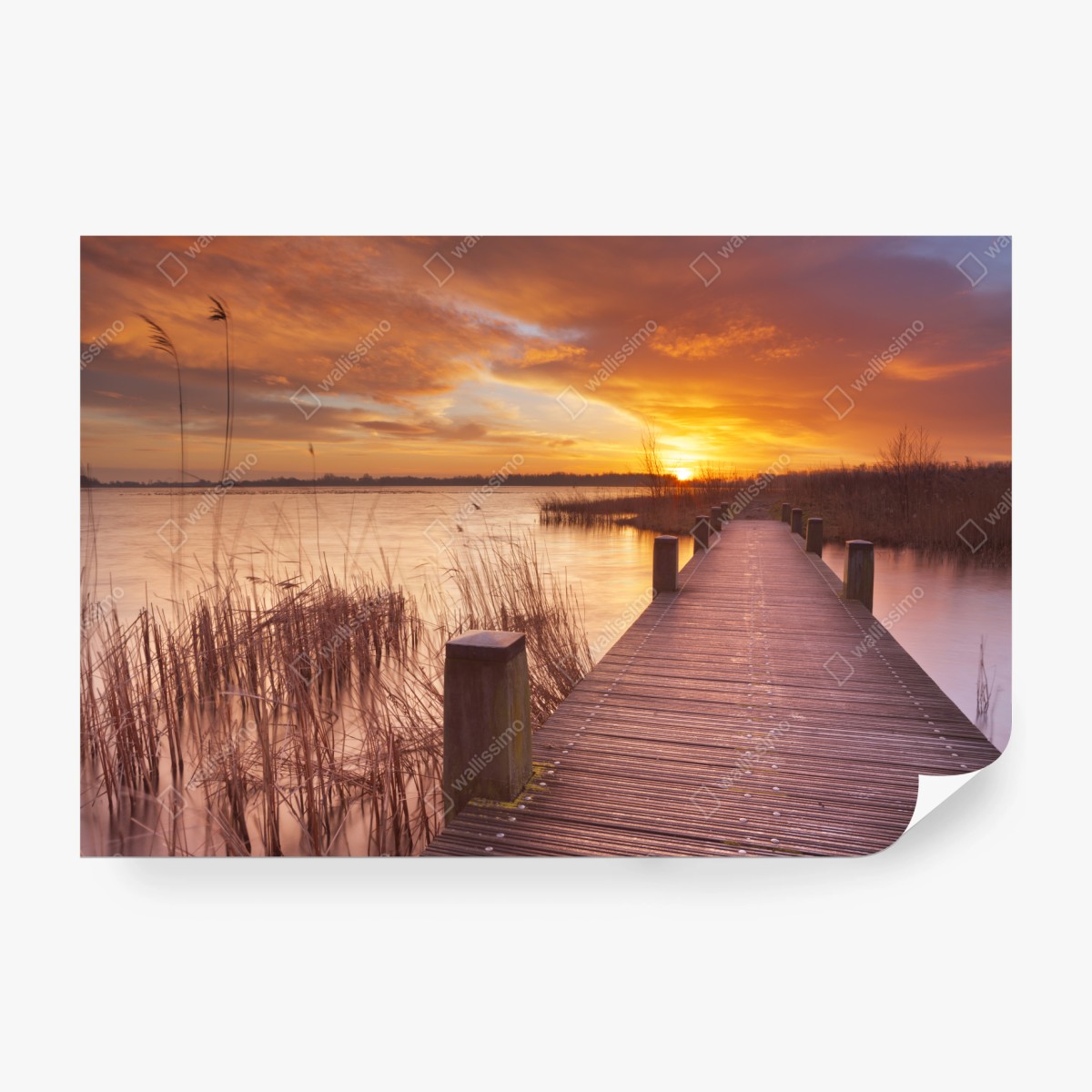 Fototapete sonnenaufgang über dem see bei Amsterdam – Wallnifity®