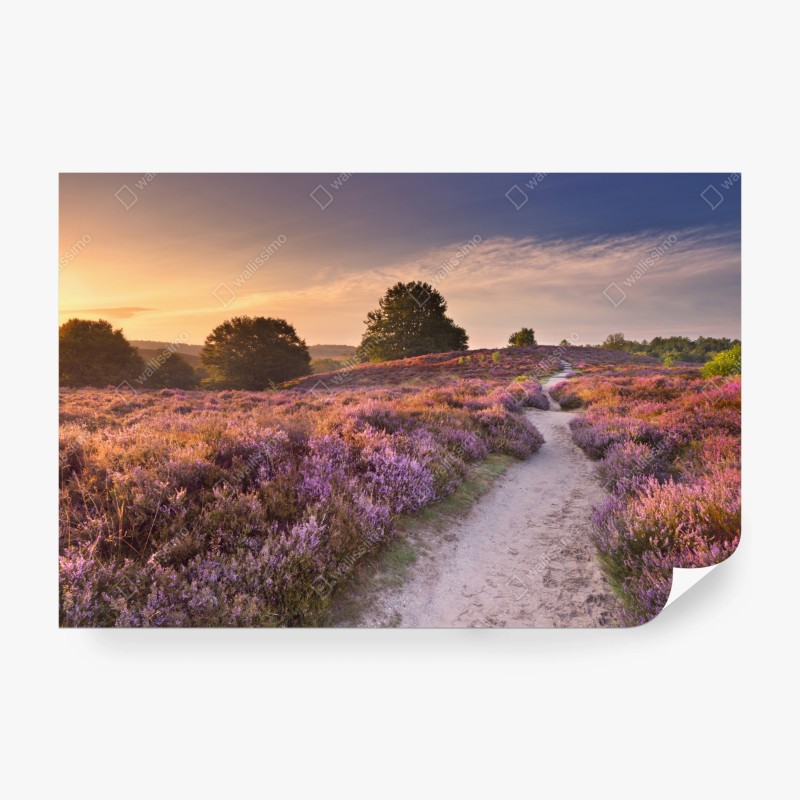 Fototapete rotes blumenmuster mit beigen mittelpunkten – Wallnifity®