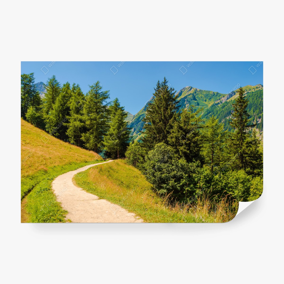 Fototapete bergweg in den Schweizer Alpen im Sommer – Wallnifity®