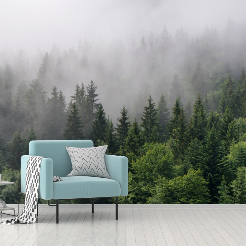 Fototapete nebliger immergrüner wald panorama – Wallnifity®