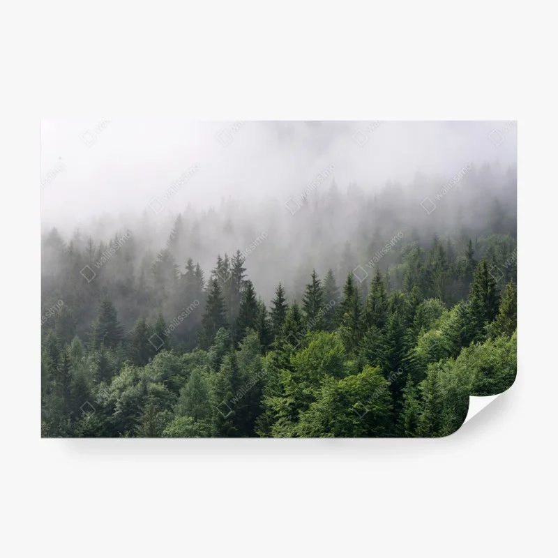 Fototapete – Wallnifity®