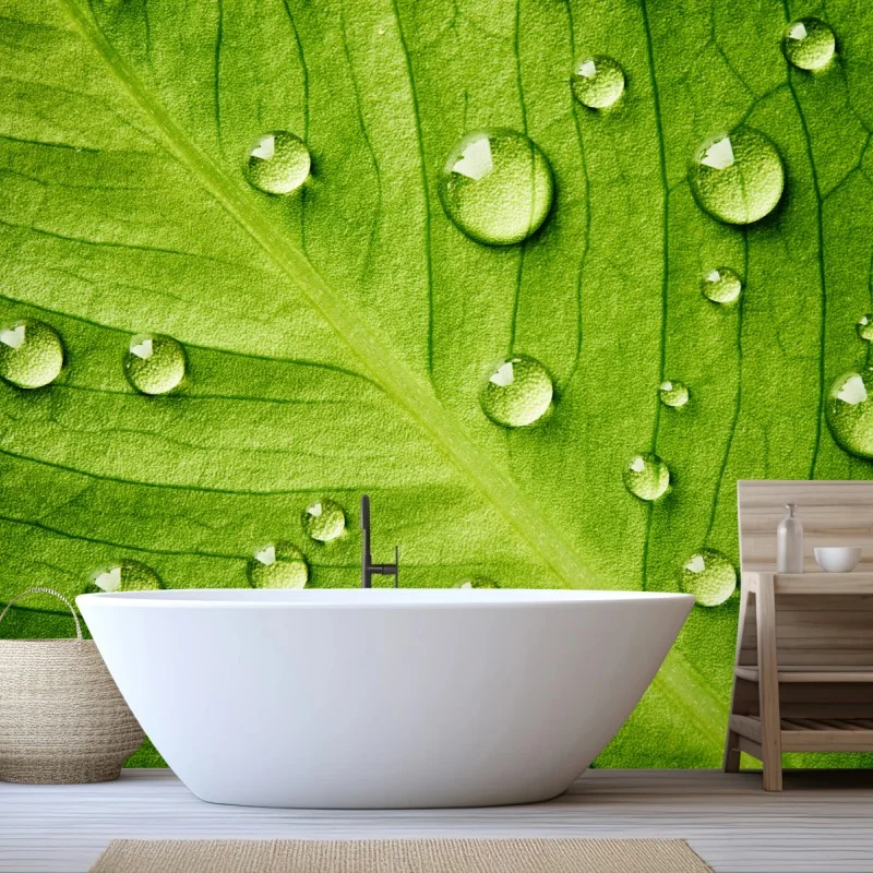 Fototapete frisches grünes blatt mit wassertropfen