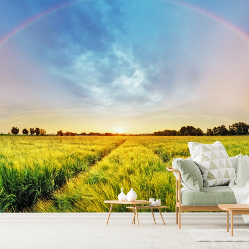 Fototapete regenbogen über goldenem weizenfeld bei sonnenuntergang – Wallnifity®