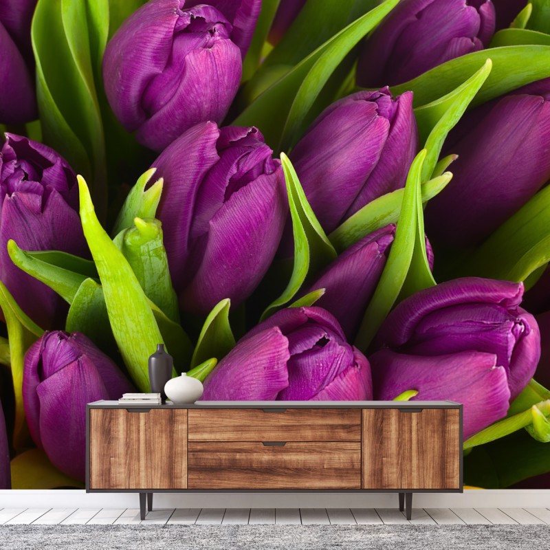 Fototapete lila tulpen im bukett – Wallnifity®
