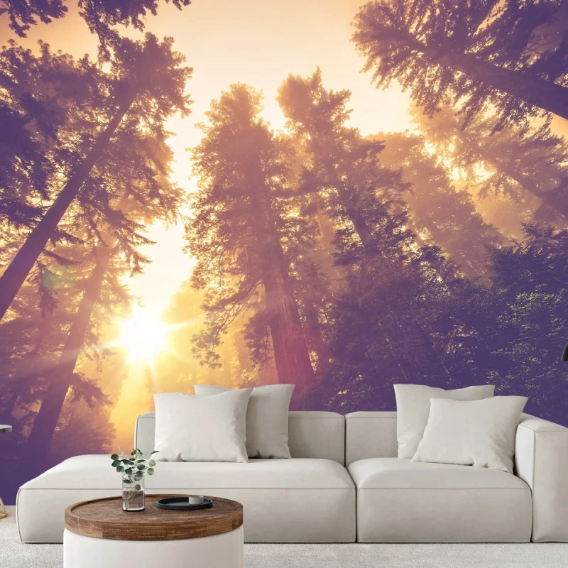 Fototapete nebeliger mamutbaumwald im goldenen vintagelicht – Wallnifity®