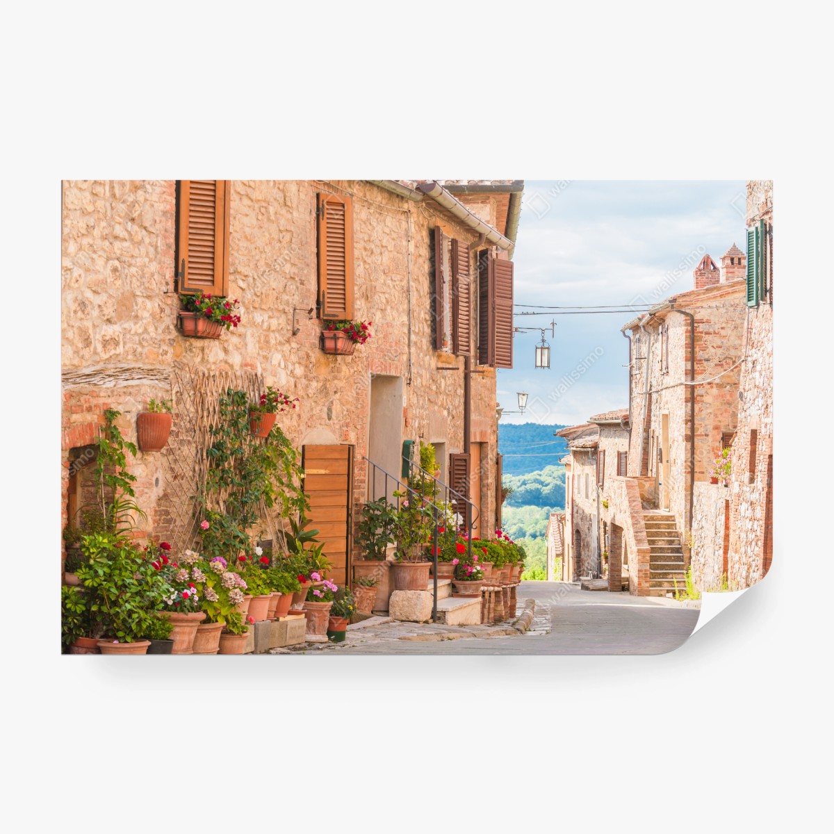 Fototapete mittelalterliche straße in der Toskana mit blumentöpfen – Wallnifity®