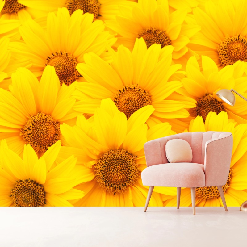 Fototapete leuchtende gelbe sonnenblumen in nahaufnahme – Wallnifity®