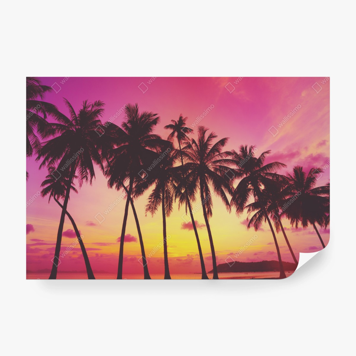 Fototapete tropischer sonnenuntergang mit palmen, Thailand – Wallnifity®