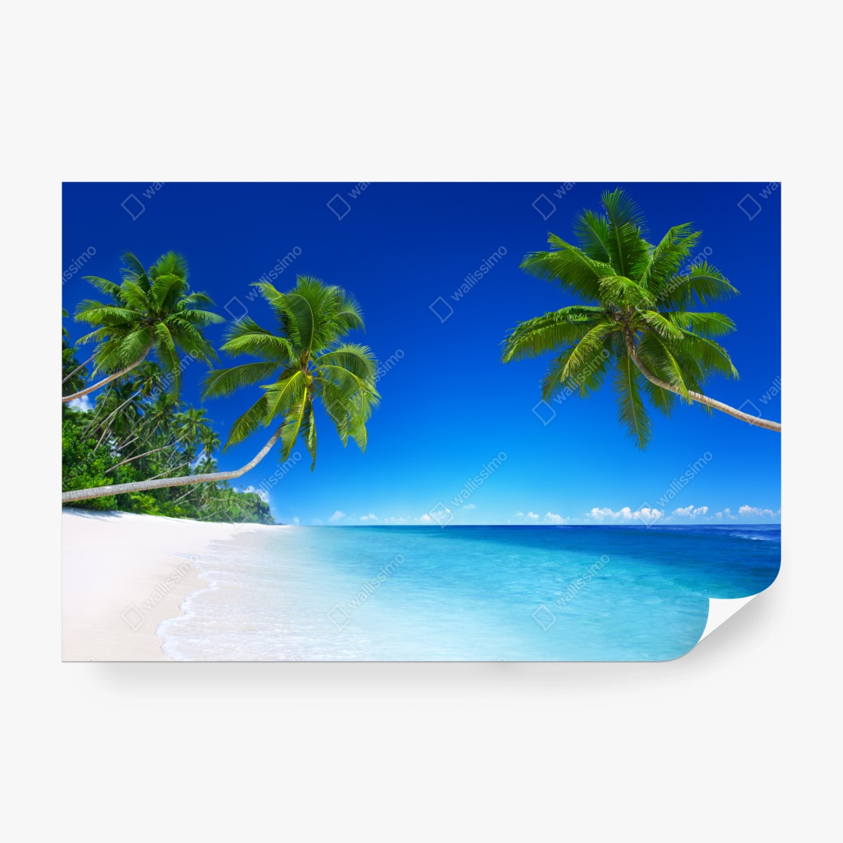 Fototapete tropischer strand mit palmen – Wallnifity®