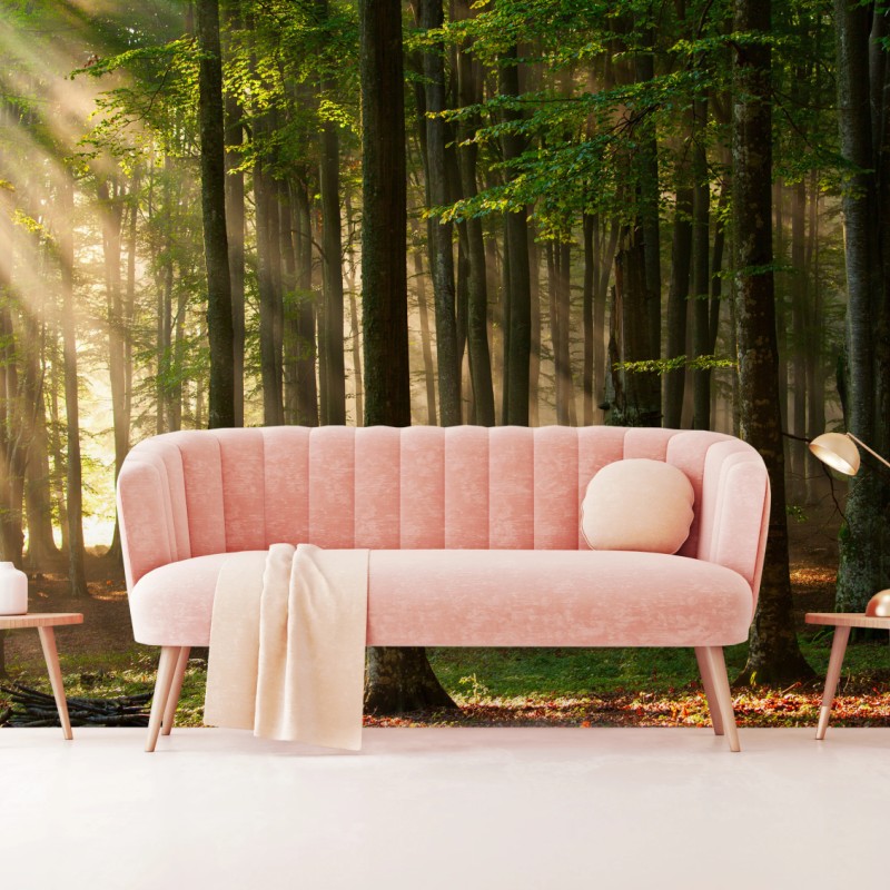 Fototapete morgendliches licht im buchenwald – Wallnifity®