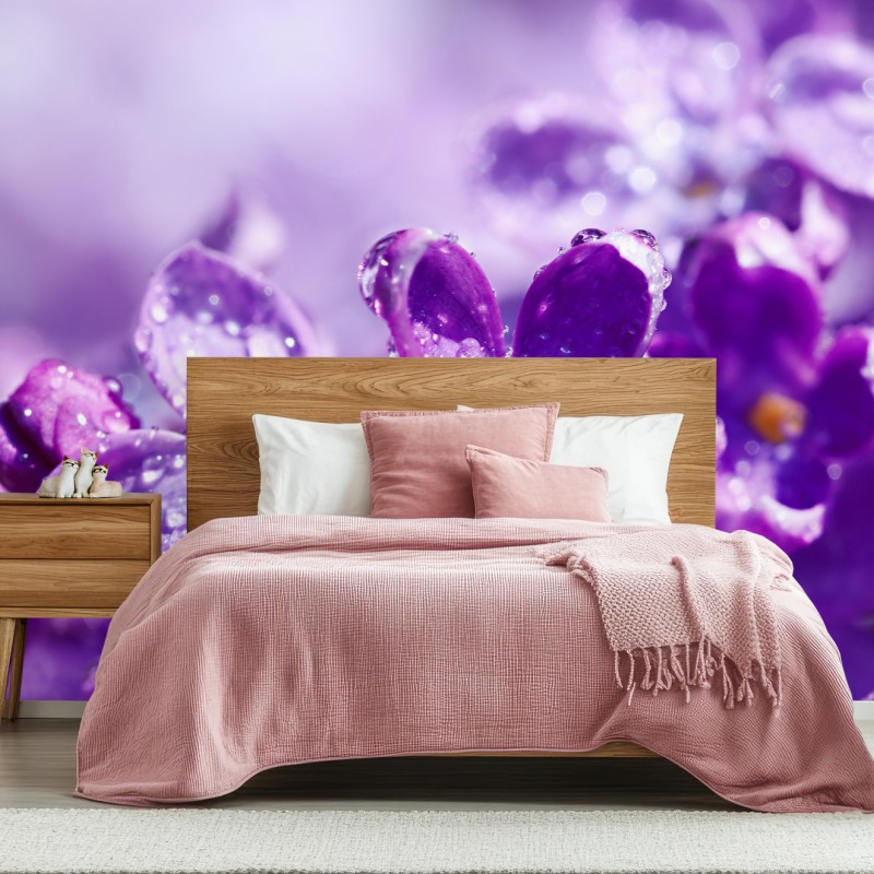 Fototapete lila fliederblüte mit tau – Wallnifity®