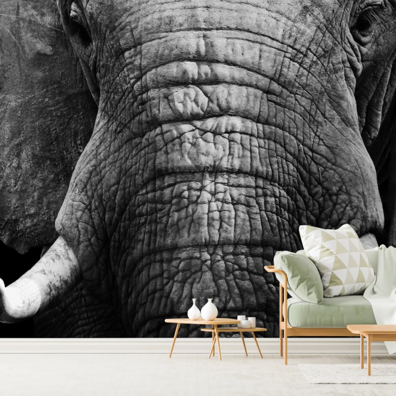 Fototapete majestätisches elefantenporträt – Wallnifity®