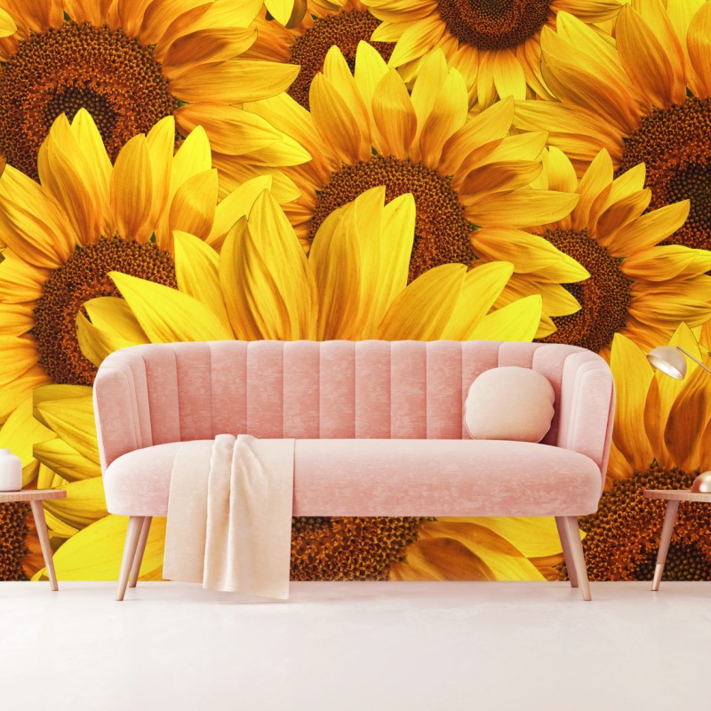 Fototapete goldene sonnenblumen