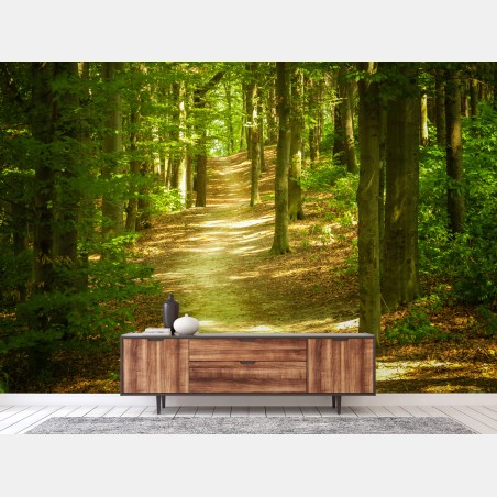 Fototapete sonniger waldpfad – Wallnifity®