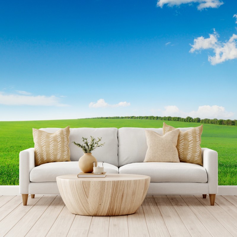 Fototapete ruhige grüne wiese unter blauem himmel – Wallnifity®