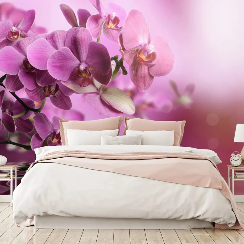 Fototapete rosa orchideen spiegelung