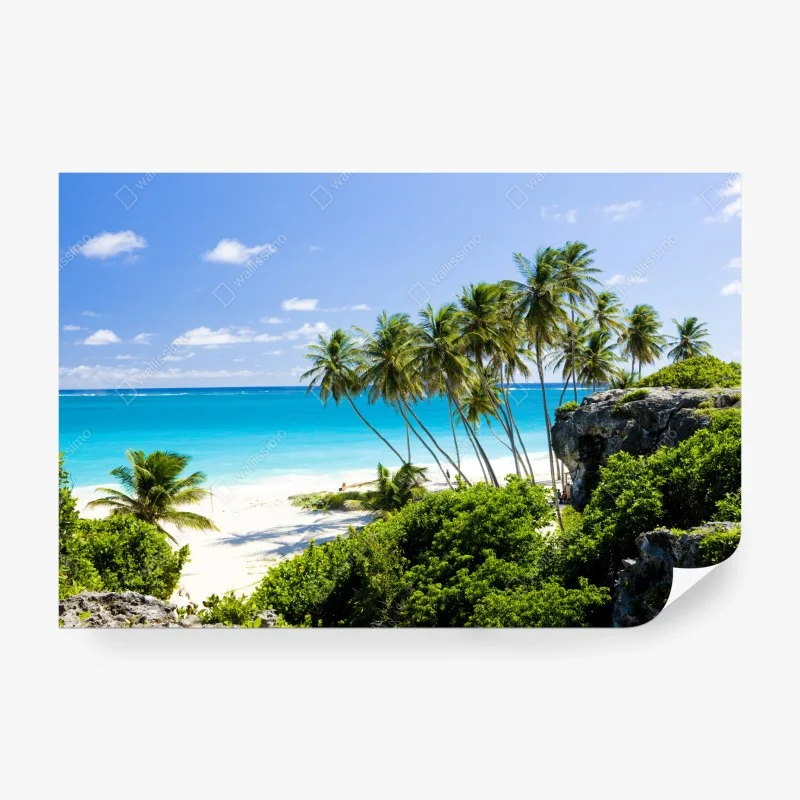 Fototapete Bottom Bay palmenstrand, Barbados