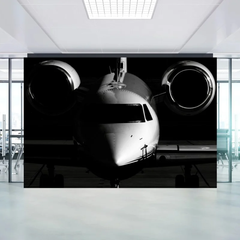 Fototapete monochrome frontalansicht eines privatjets