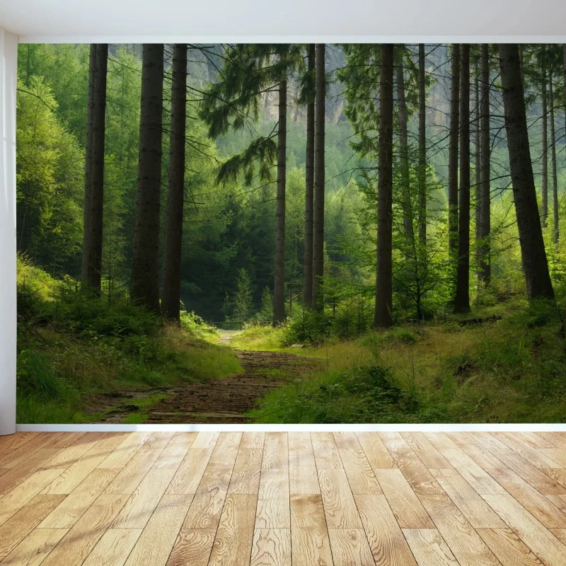 Fototapete ruhiger waldpfad – Wallnifity®