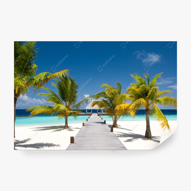 Fototapete tropisches blumenmuster in rosa und türkis – Wallnifity®