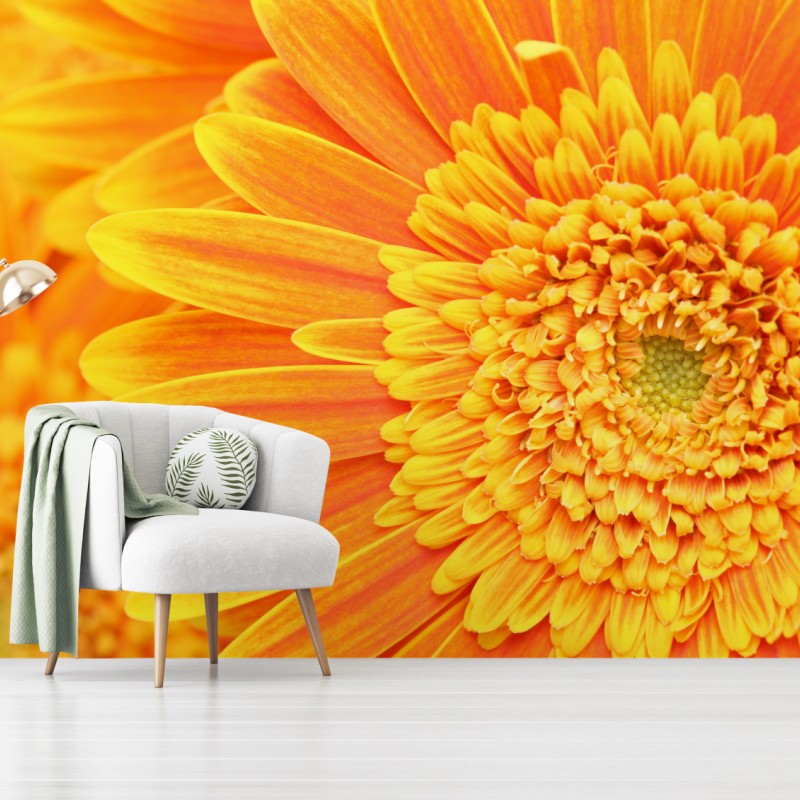 Fototapete leuchtende orange gerbera in makro – Wallnifity®