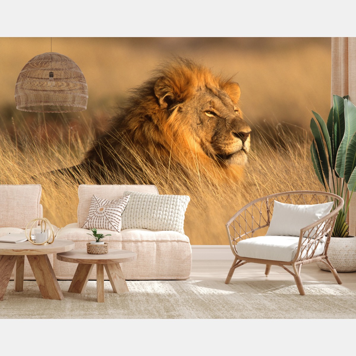 Fototapete majestätischer löwe im hohen gras – Wallnifity®