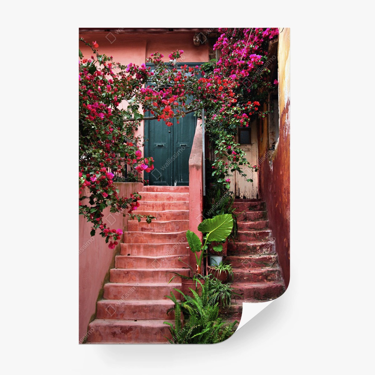 Fototapete treppe mit bougainvillea und grünen pflanzen – Wallnifity®