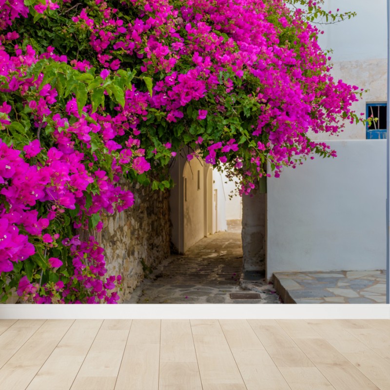 Fototapete blühende bougainvillea in Naousa gasse – Wallnifity®