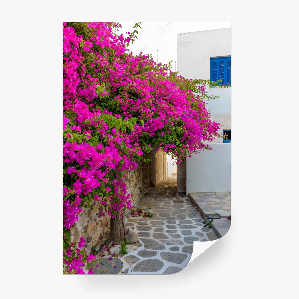 Fototapete blühende bougainvillea in Naousa gasse – Wallnifity®